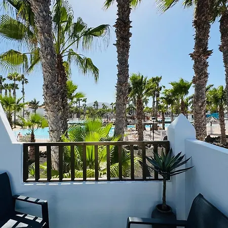 Oasis * קורלחו